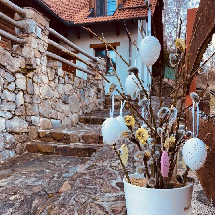 Apartmany Srub Jenisov Horni Plana Exterior photo